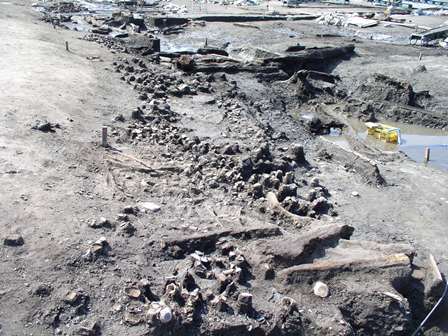 河川の東岸から多量の土器が出土した状況の写真