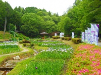 百年公園内の庭園