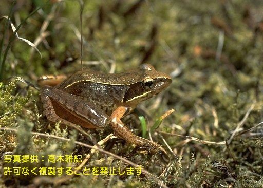 写真を拡大表示します 写真を拡大表示します
