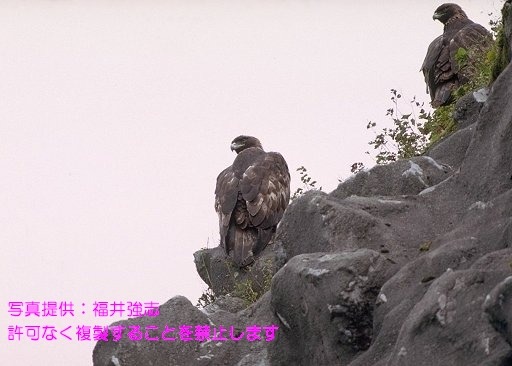 写真を拡大表示します 写真を拡大表示します