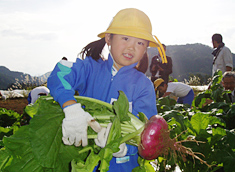 汚泥発酵肥料を使った農作業体験の写真(高山市）