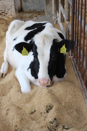 飼養管理2