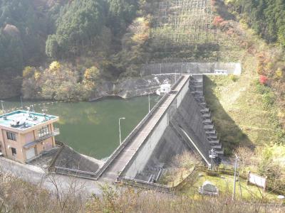 岩村ダム（貯水池）