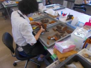 縄文土器の破片を接合している様子