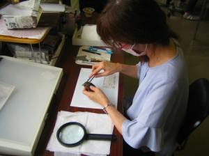 縄文土器の破片を実測している様子