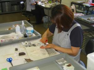 縄文土器の破片の拓本をしている様子