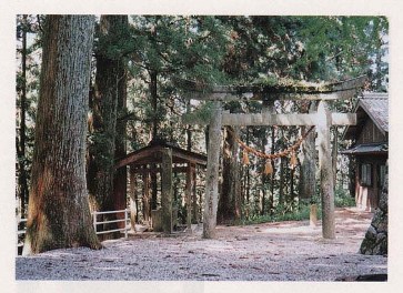 中山神社社叢