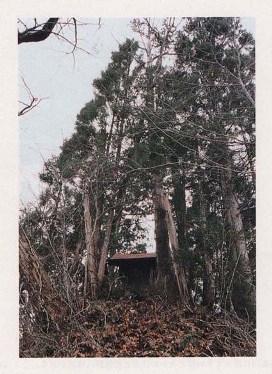 森茂白山神社社叢