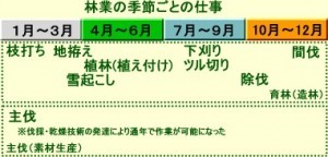 林業　季節ごとの仕事