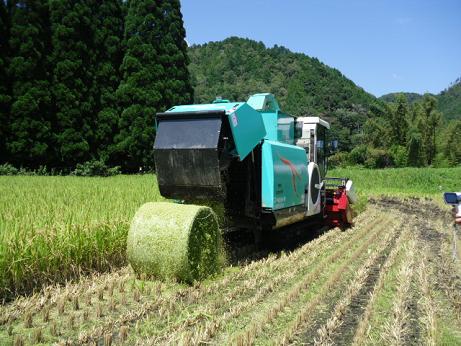 稲ホールクロップサイレージの収穫・調整作業の状況2