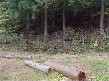防護柵の設置と集落周辺の間伐