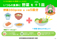 野菜メモ