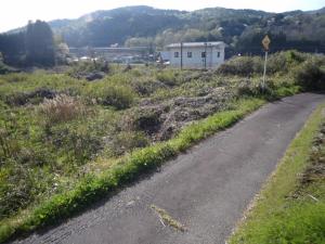 毘沙門遺跡の調査前発掘区西側全景の写真です