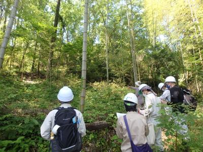 有識者による現地確認の状況