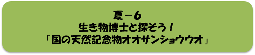 夏6