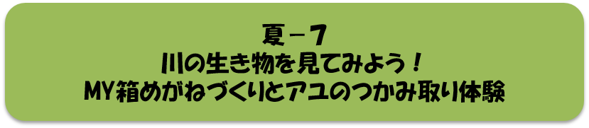夏7