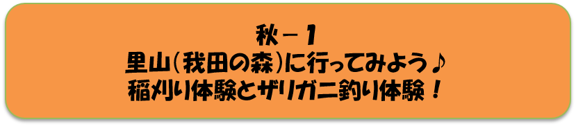 秋1