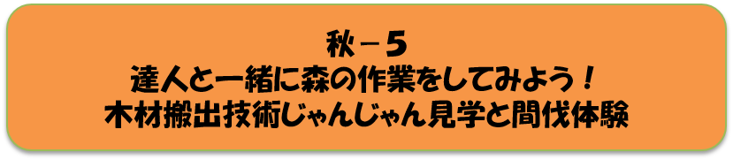 秋5