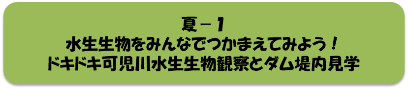 夏1