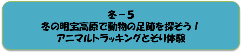 冬5