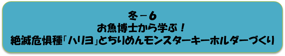 冬6