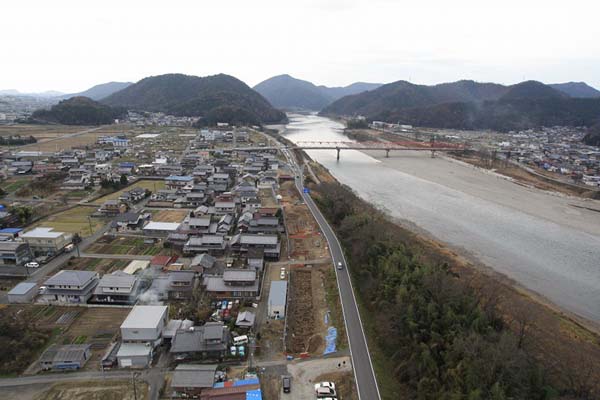 調査地近景