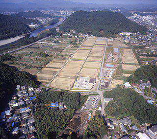 調査区遠景