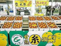 JAぎふ糸貫農産物販売所の画像