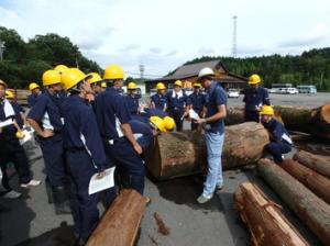 原木市場での研修支援