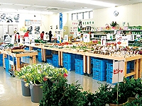 JAにしみのファーマーズマーケット垂井店の画像