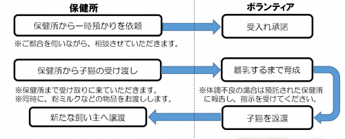 一時預かりの流れ