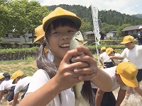 ぎふ清流長良川あゆパークでの鮎のつかみどり体験