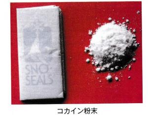 コカイン粉末の写真