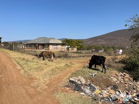 シロアム村の風景