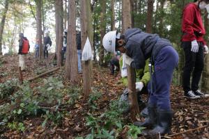 里山整備の様子