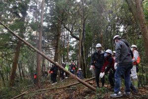 里山整備