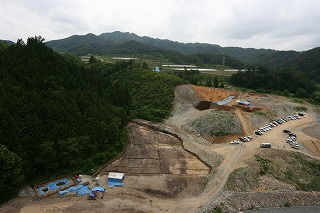 調査地の全景を東から撮影