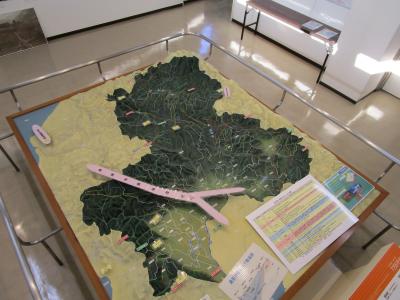 岐阜県立体地形模型