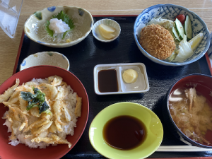 白エビ丼