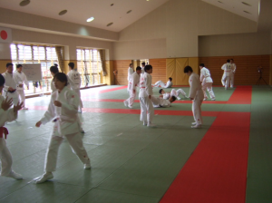 画像(逮捕術訓練を見学している様子)