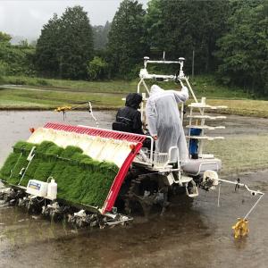 直進アシスト付き田植機