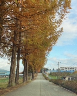 飛騨高山高校アカウント