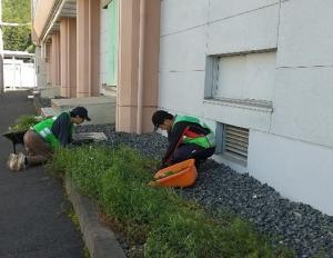gifu2