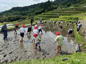 田んぼの学校（２）
