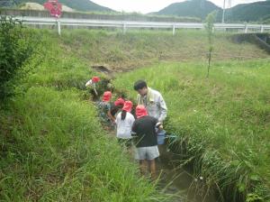 田んぼの学校（３）