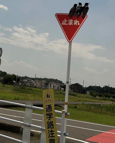 標識