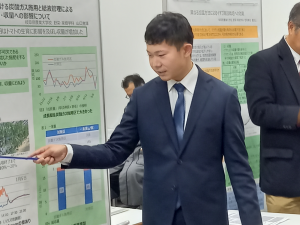 sedf