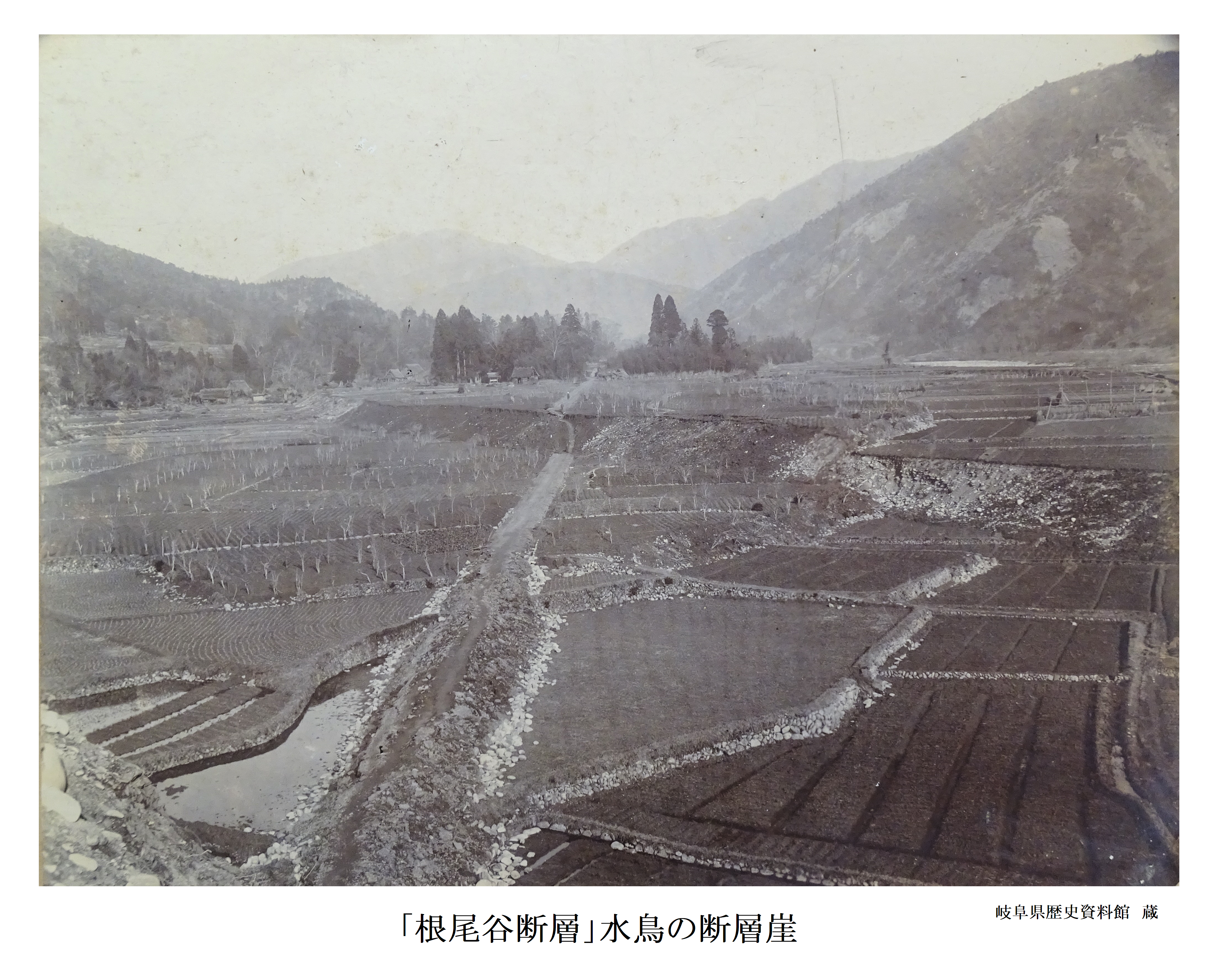 「根尾谷断層」水鳥の断層崖