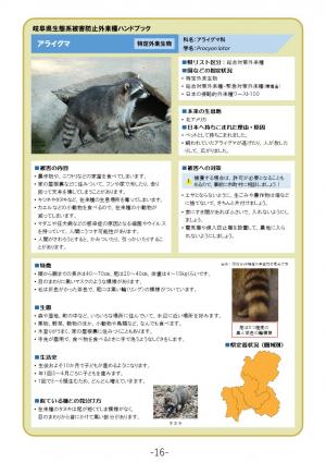 アライグマ