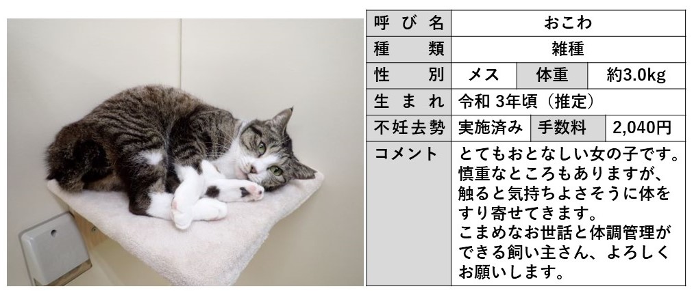 おこわ